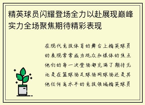 精英球员闪耀登场全力以赴展现巅峰实力全场聚焦期待精彩表现