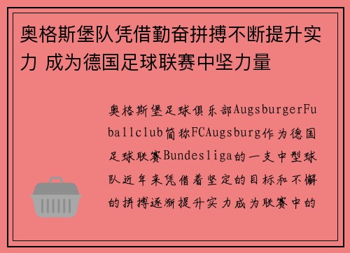 奥格斯堡队凭借勤奋拼搏不断提升实力 成为德国足球联赛中坚力量