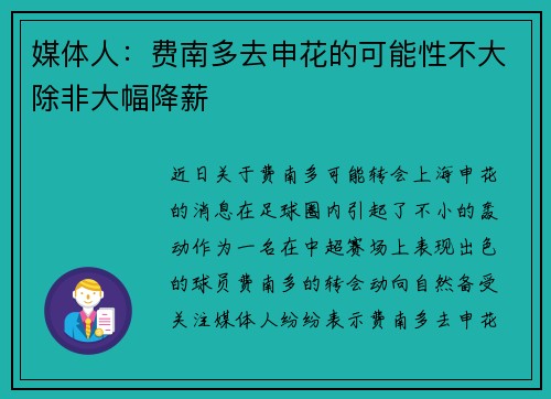 媒体人：费南多去申花的可能性不大除非大幅降薪